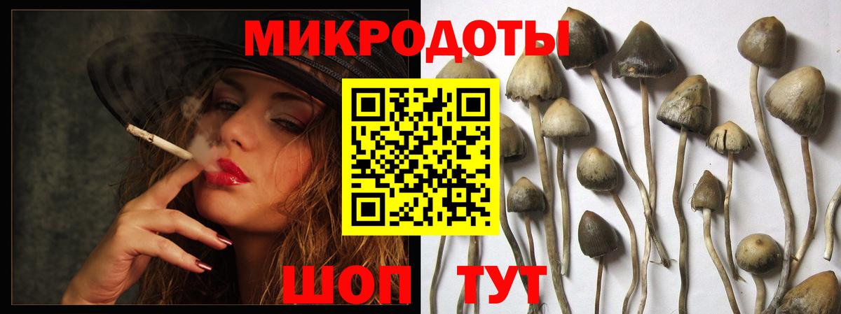 Добрянка  Псилоцибиновые грибы мухоморы  Вход с VPN 